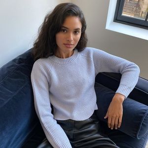 Cropped Aritzia Wilfred Sweater